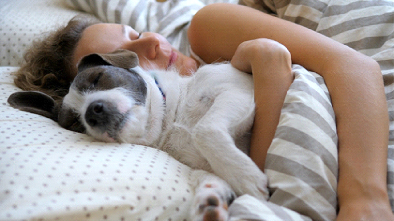 Woman sleeping peacefully with her dog 