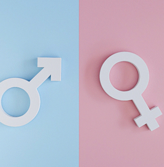 Male and female gender symbols